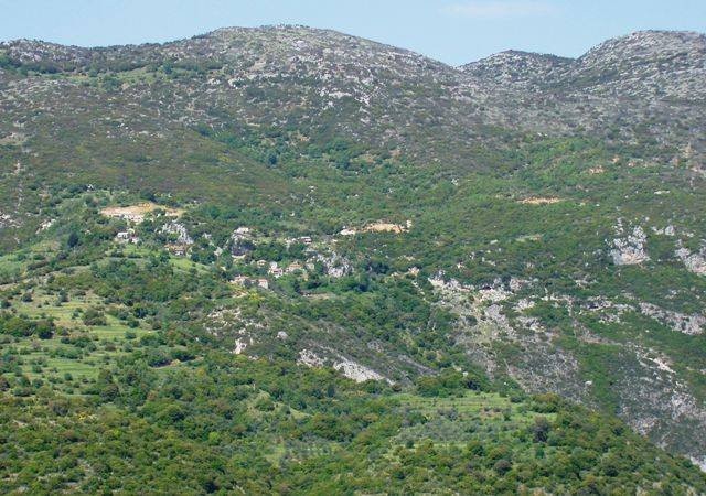arapides_010