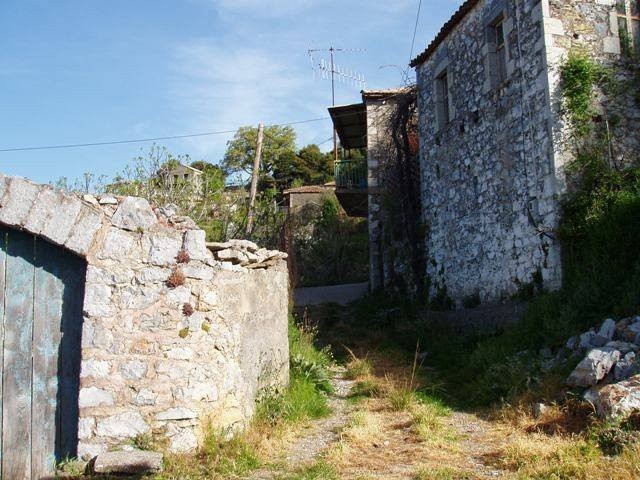arapides_05