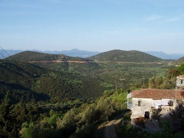 arapides_14