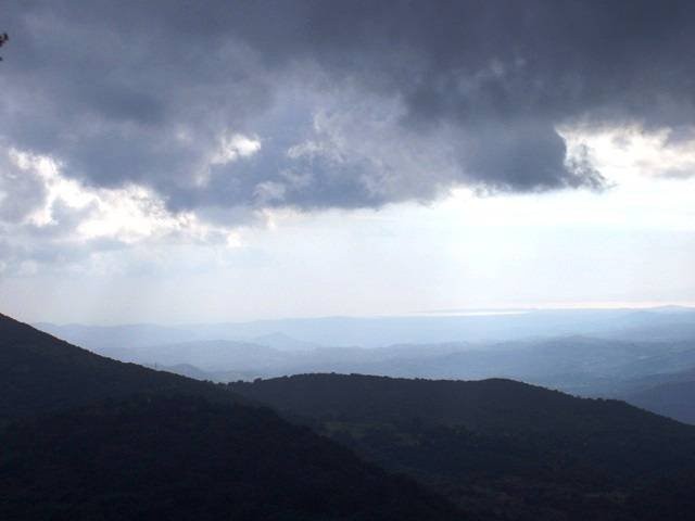 arapides_15