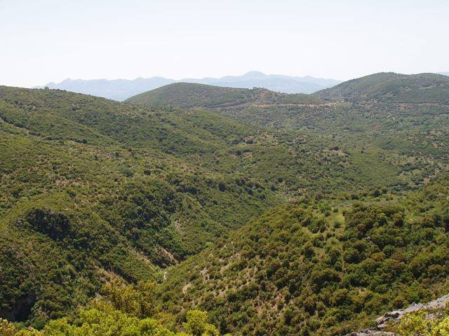 arapides_18
