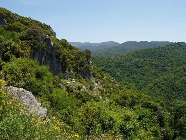 arapides_20