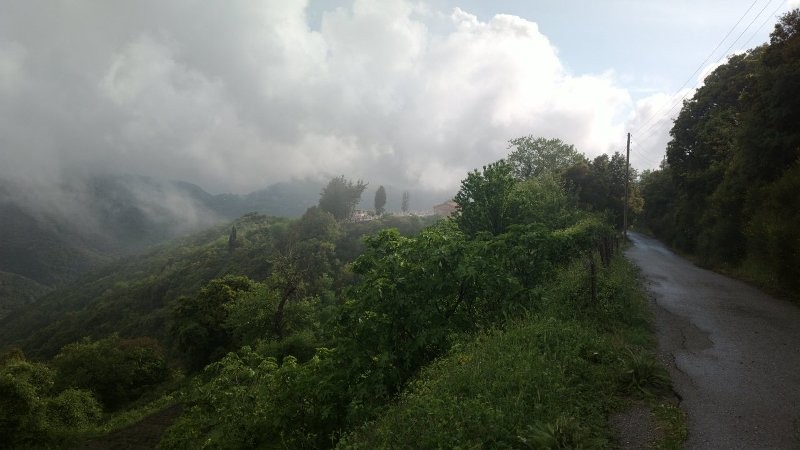 Servou_20