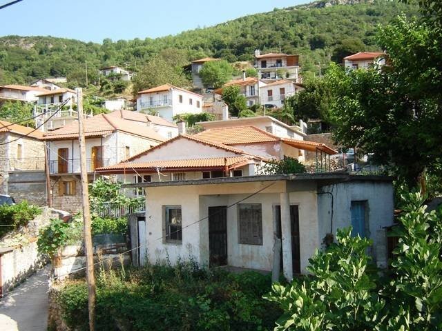 640_Boreioditika0