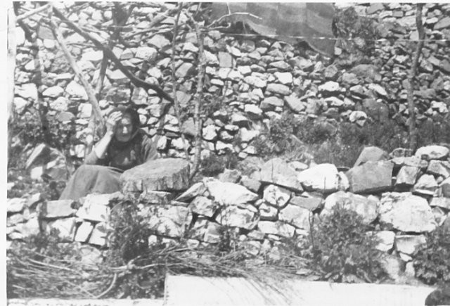 ΓιαγιάΘΕΟΦΆΝΗ