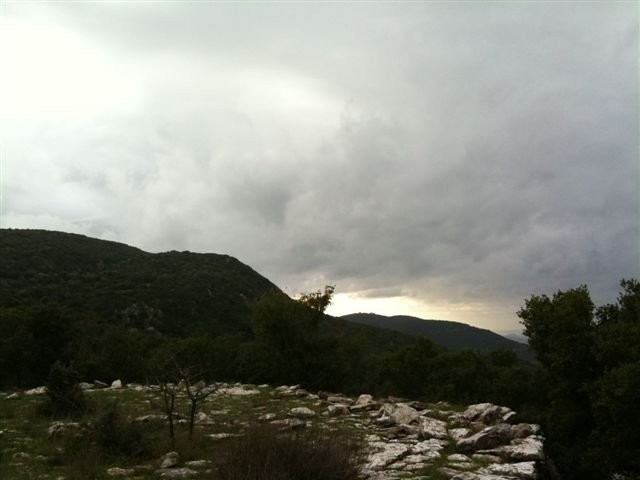 goura_09