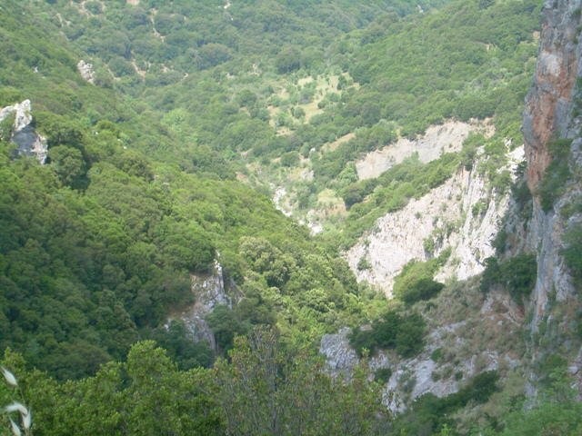 goura_18