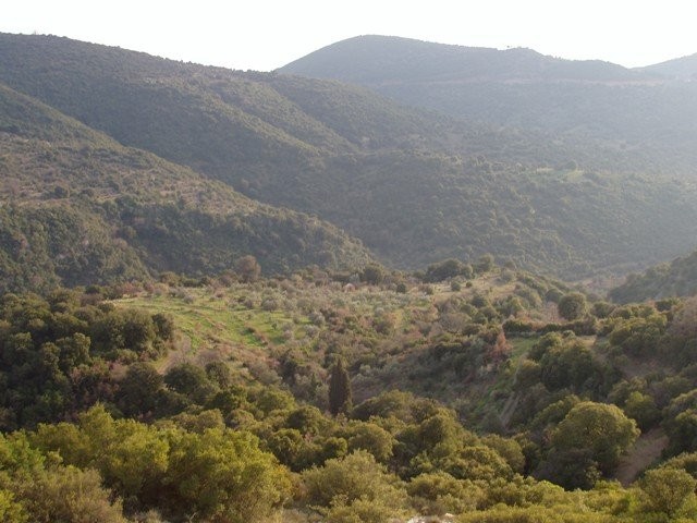 goura_22