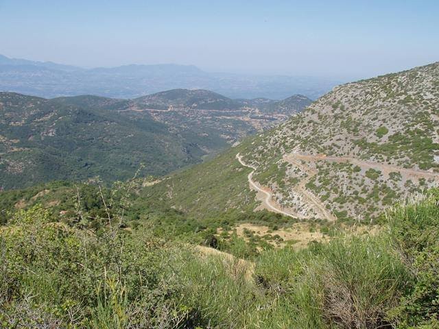 goura_30