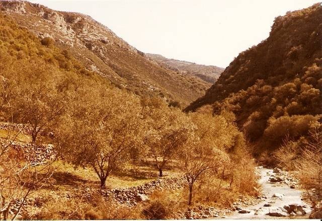goura_35