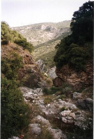 goura_38