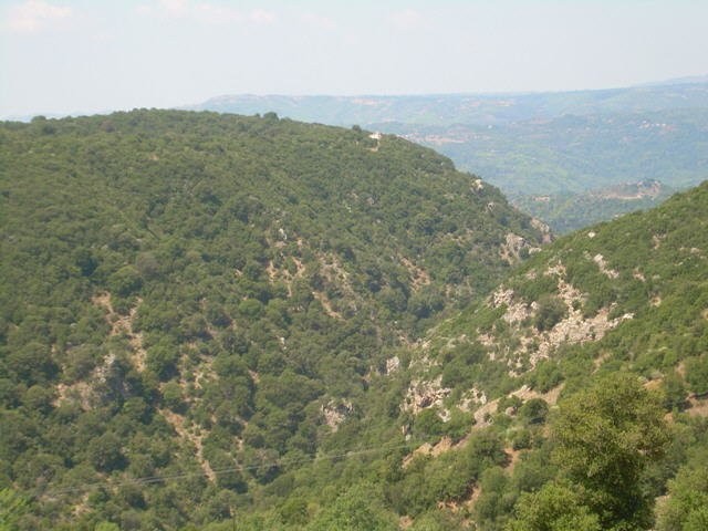 goura_49