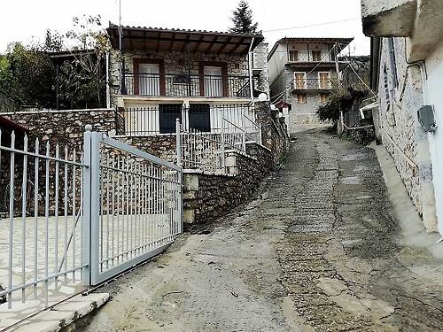 2016-φωτο ΝΤ-3
