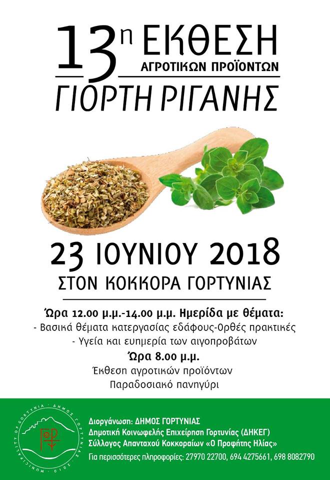 ΓΙΟΡΤΗ ΡΙΓΑΝΗΣ