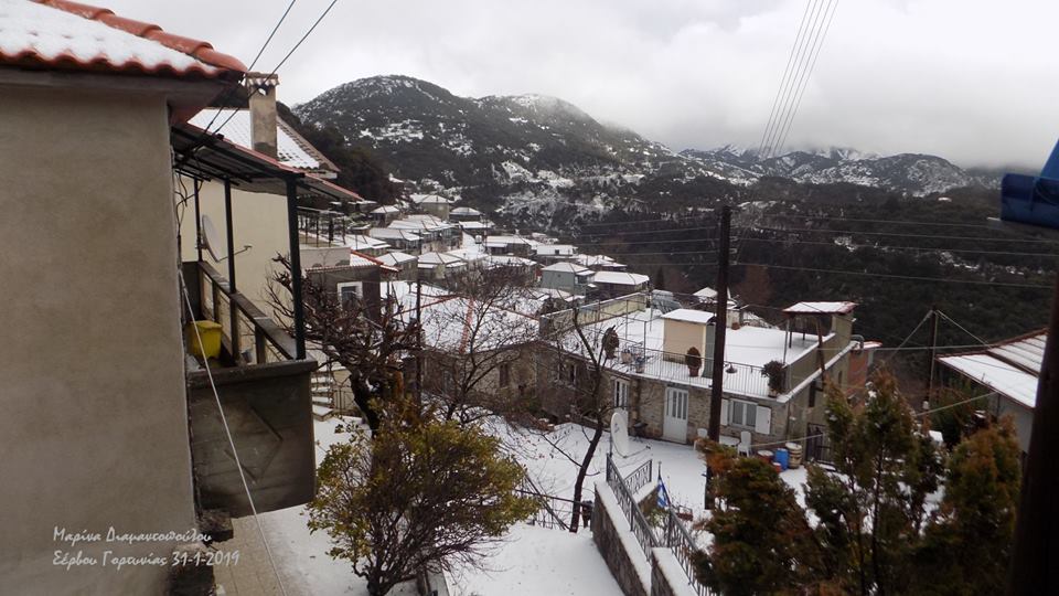 ΜΔΤ-ΣΕΡΒΟΥ-31-1-19Α