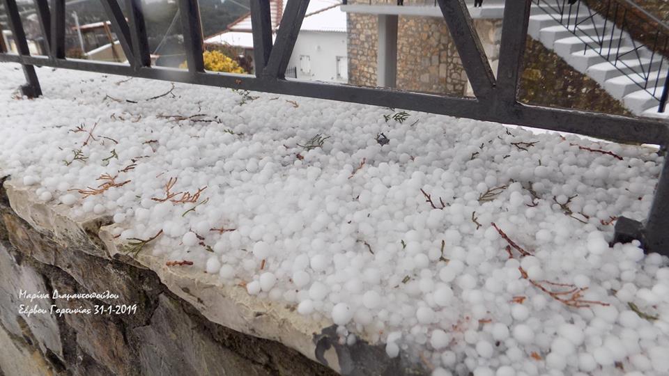 ΜΔΤ-ΣΕΡΒΟΥ-31-1-19Β