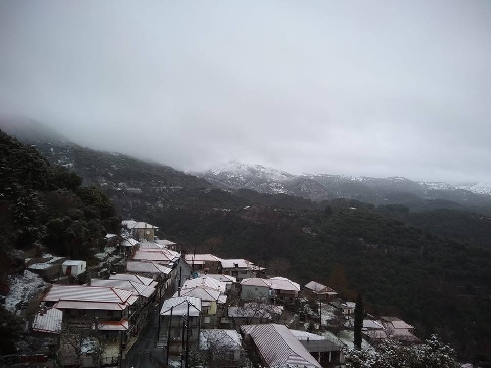 ΜΗΤΣΙΟΣ-25.1.19-ΣΕΡΒΟΥ