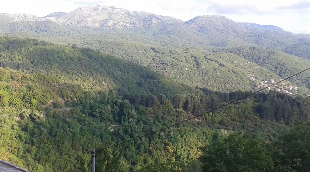 ΣΕΡΒΟΥ 2019Β