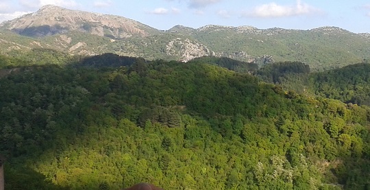 ΣΕΡΒΟΥ 2019Γ