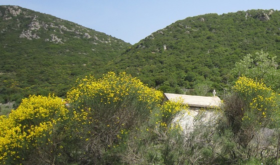 ΣΕΡΒΟΥ 2019Ε