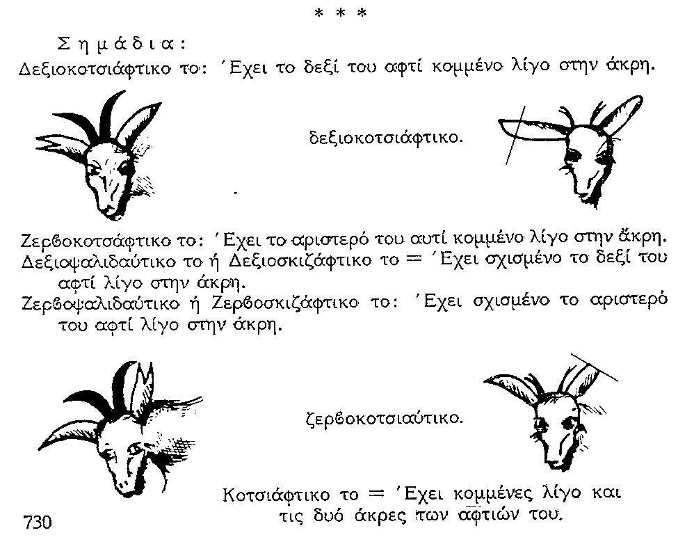 ΘΚΤ-ΤΣΟΠ-730