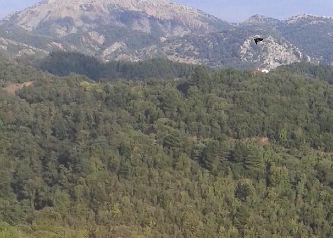 ΧΙΜ21-Β6-ΔΕΚΑΠ2020ηηΑΓΙΟΘ