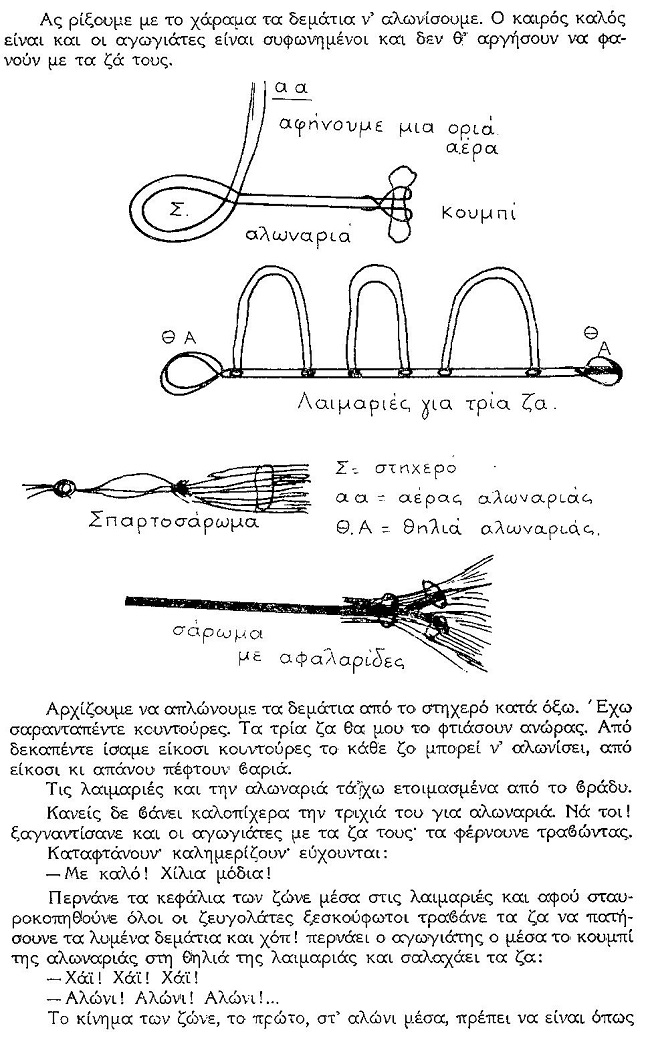 ΘΚΤ ΑΛΩΝ 3