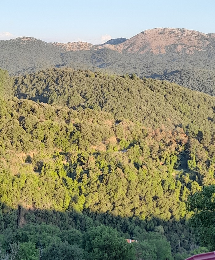 ΣΕΡΒΟΥ ΑΥΓ 22 Γ