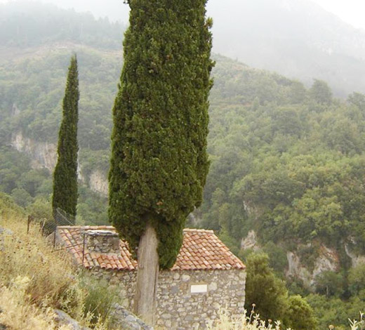 ΒΚΣ 8 επ(2)