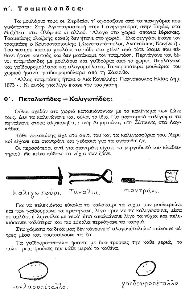 ΘΚΤ ΤΕΡΖΗΔΕΣ ΚΛΠ 6