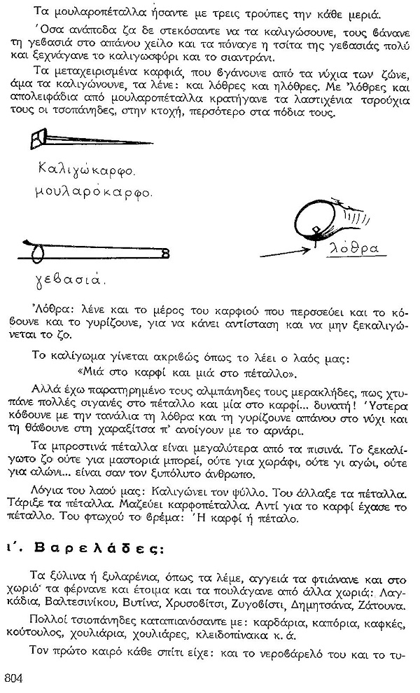 ΘΚΤ ΤΕΡΖΗΔΕΣ ΚΛΠ 7