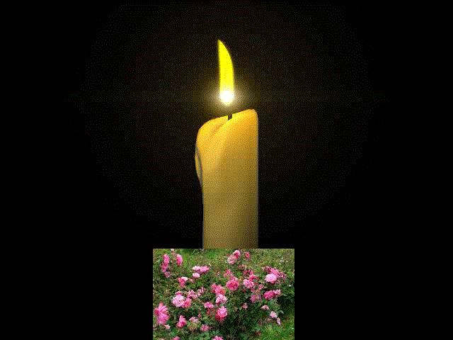 Animation candle flame