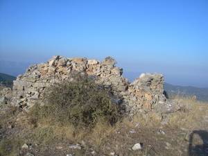 29-1-11_3_eripia_ahlia