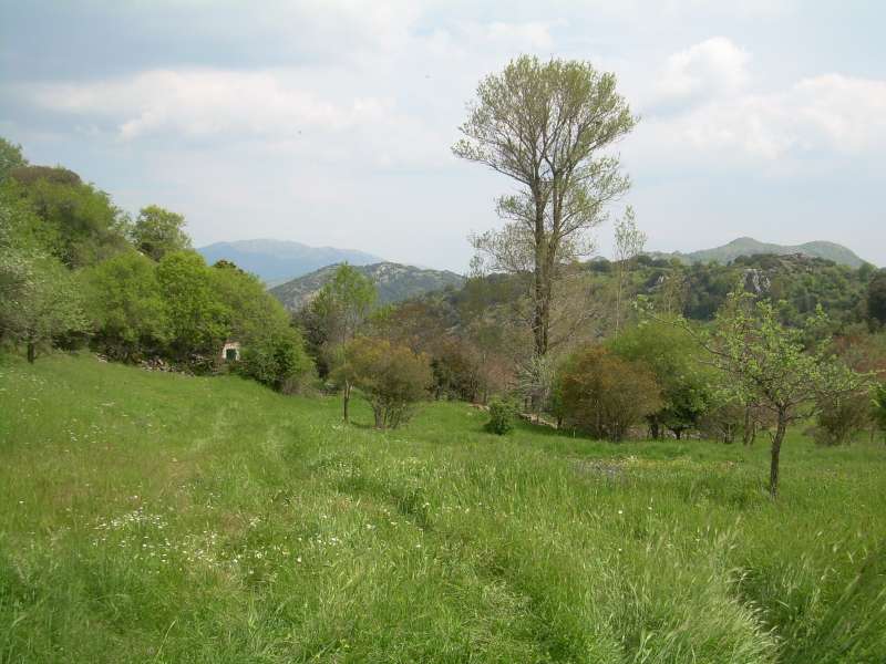 Agiodimitris_1