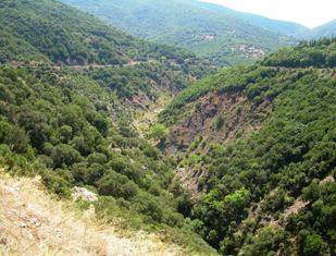 Goura_2-9-09