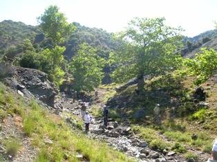 Goura_27-6-09_1