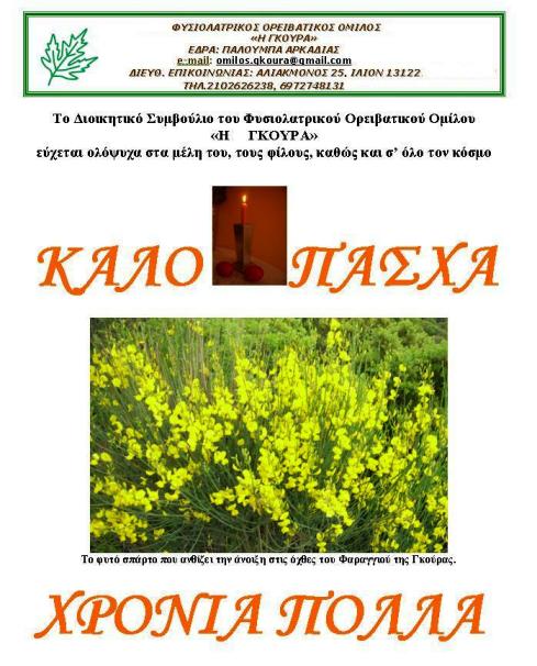 eyxes_gouras_489_606
