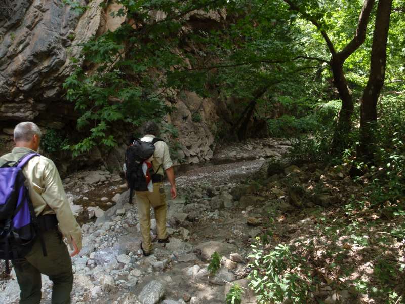 faraggi_Gkouras_2010