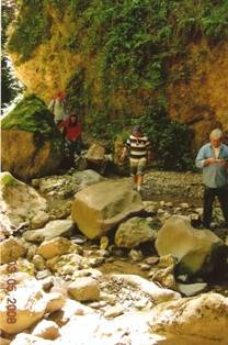 goura_314_1