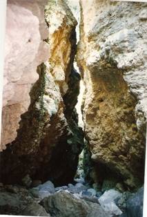 goura_314_5