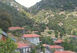 lesia_510_349