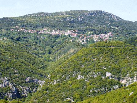 Servou_448_10-7-09