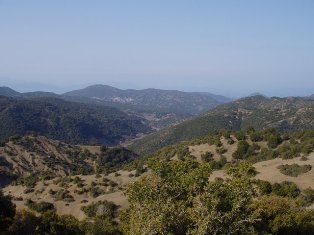 Maxi_Servou_640_480