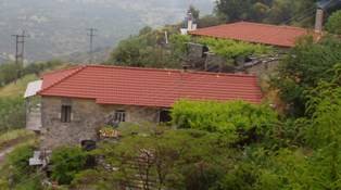 parados_Arap