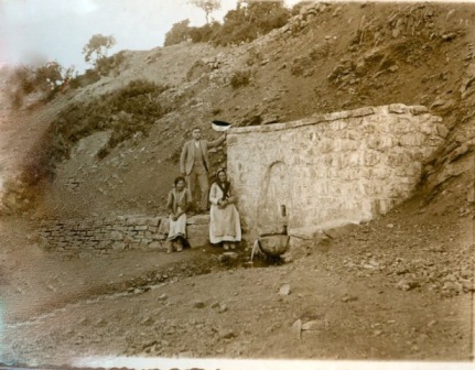 kokinovrisi_448.jpg