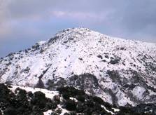 Artozinos_3