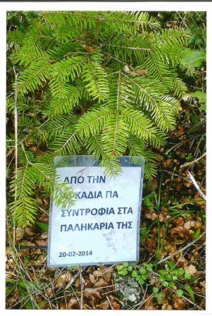 ELATO6 παλληκάρια