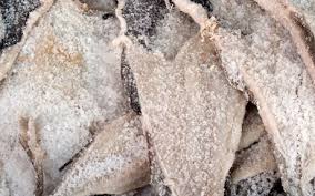 bakaliaros