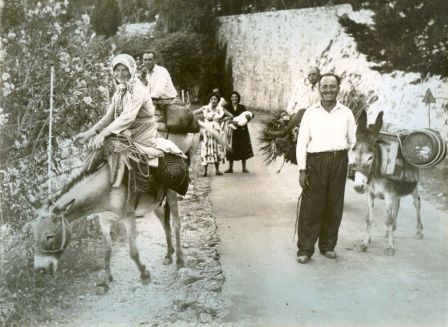 trygos